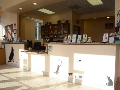 The front desk and reception area in the front of the office