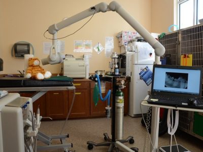 The room used for dental work, Room includes dental equipment and kennels for animals